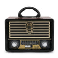 C-Radio Meier / M-113BT